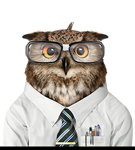 Financial Avenue owl: a lifelike howl wears glasses, tie, and white shirt with pocket protector